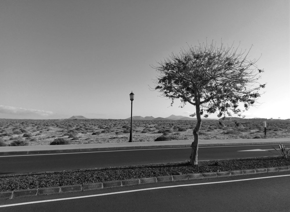 Photograph by Andrea Dajak