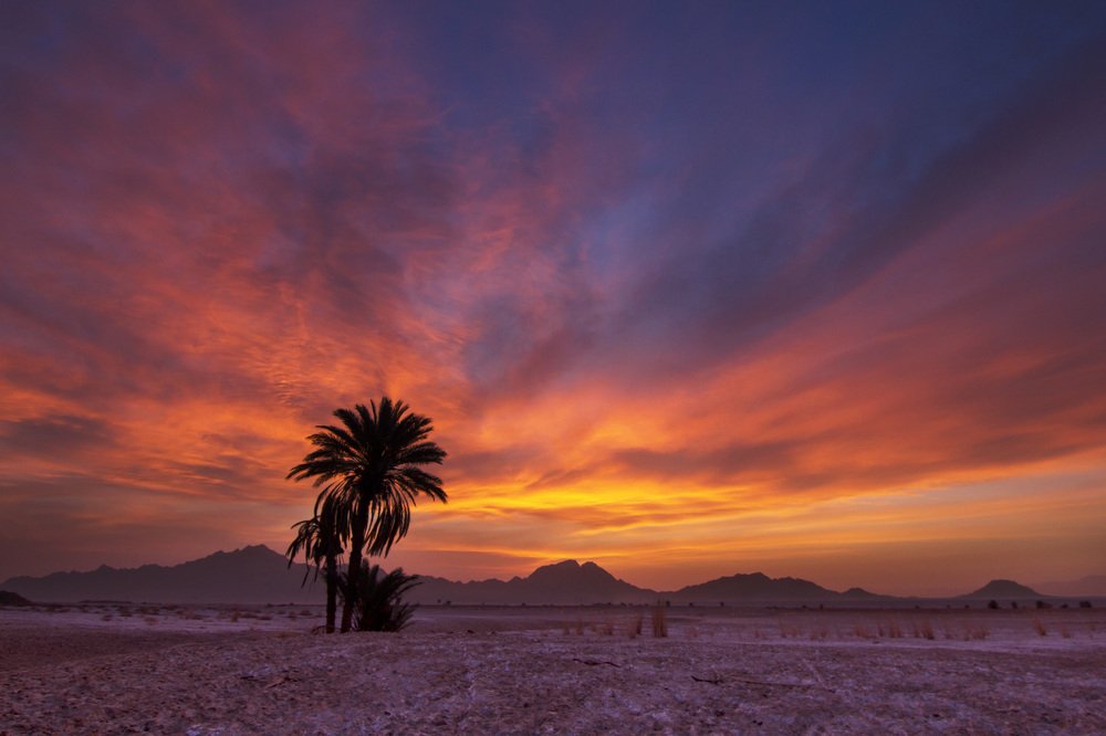 Photograph by hamed moradi