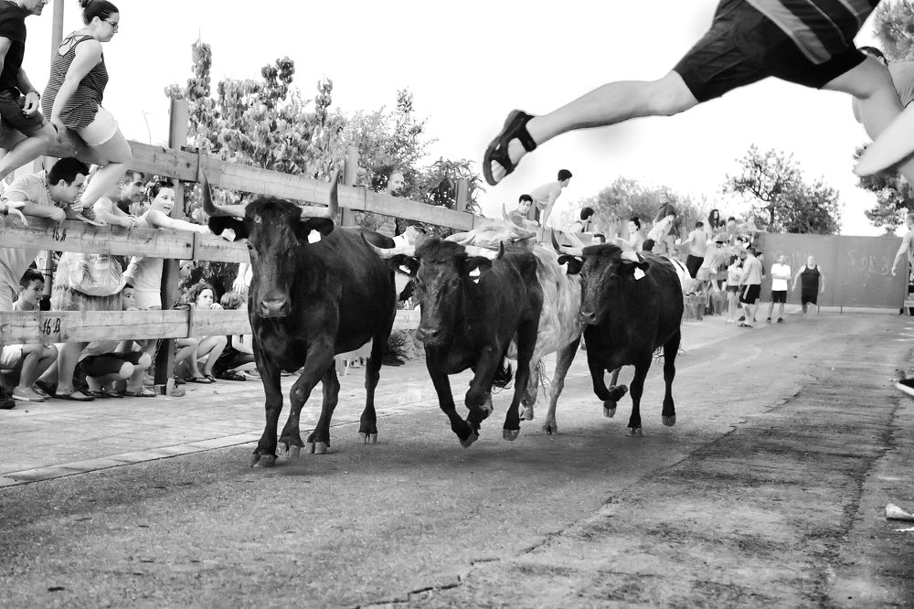 Photograph by Наталья Суслова