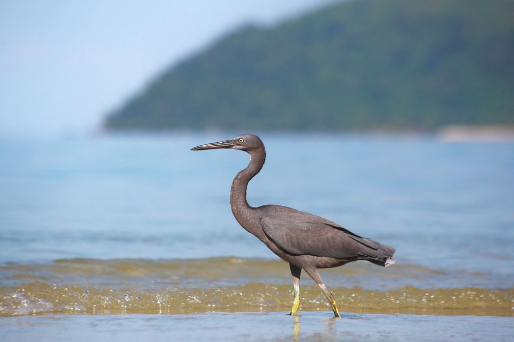 Когда море по колено