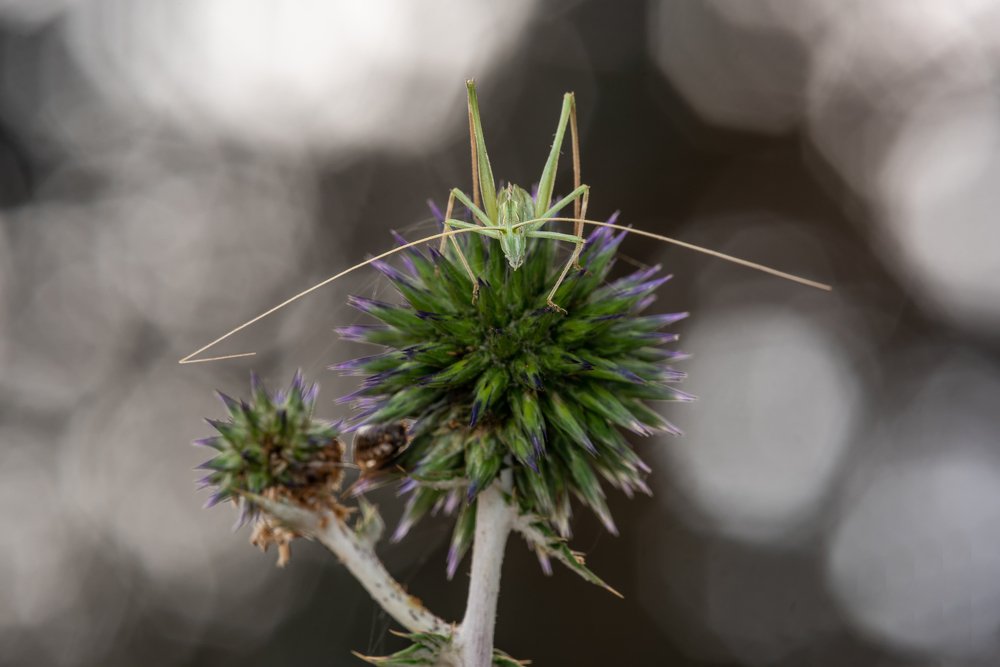 Photograph by Игорь ФУММ