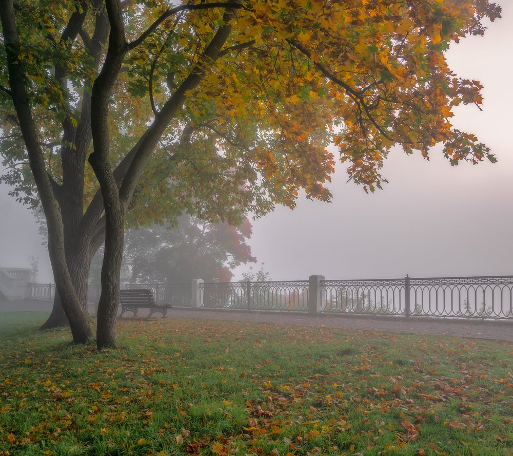 Осенняя мелодия