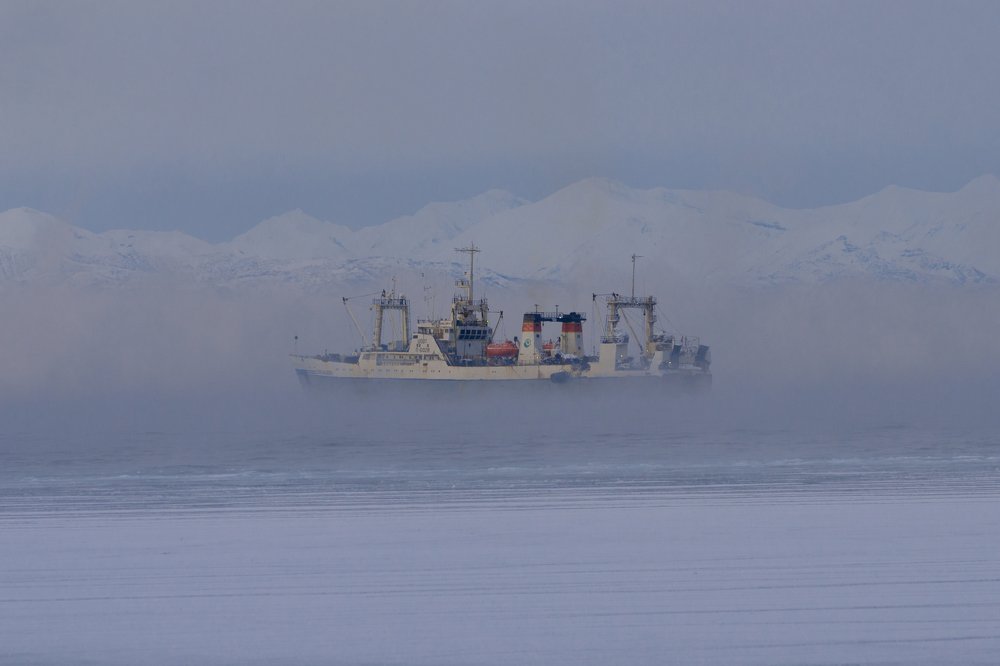 Photograph by Анатолий Савельев