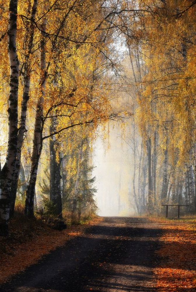 Photograph by Сергей Алексеев