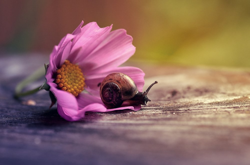 Photograph by Наталия Иванова