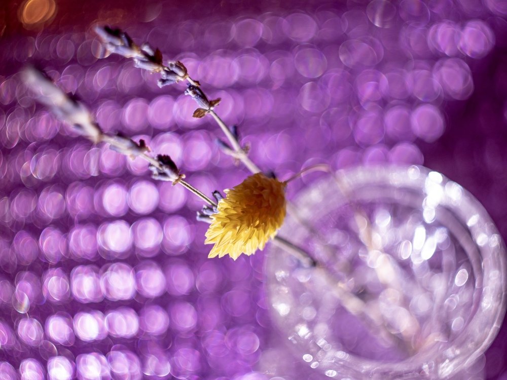 Photograph by Олеся Семенова