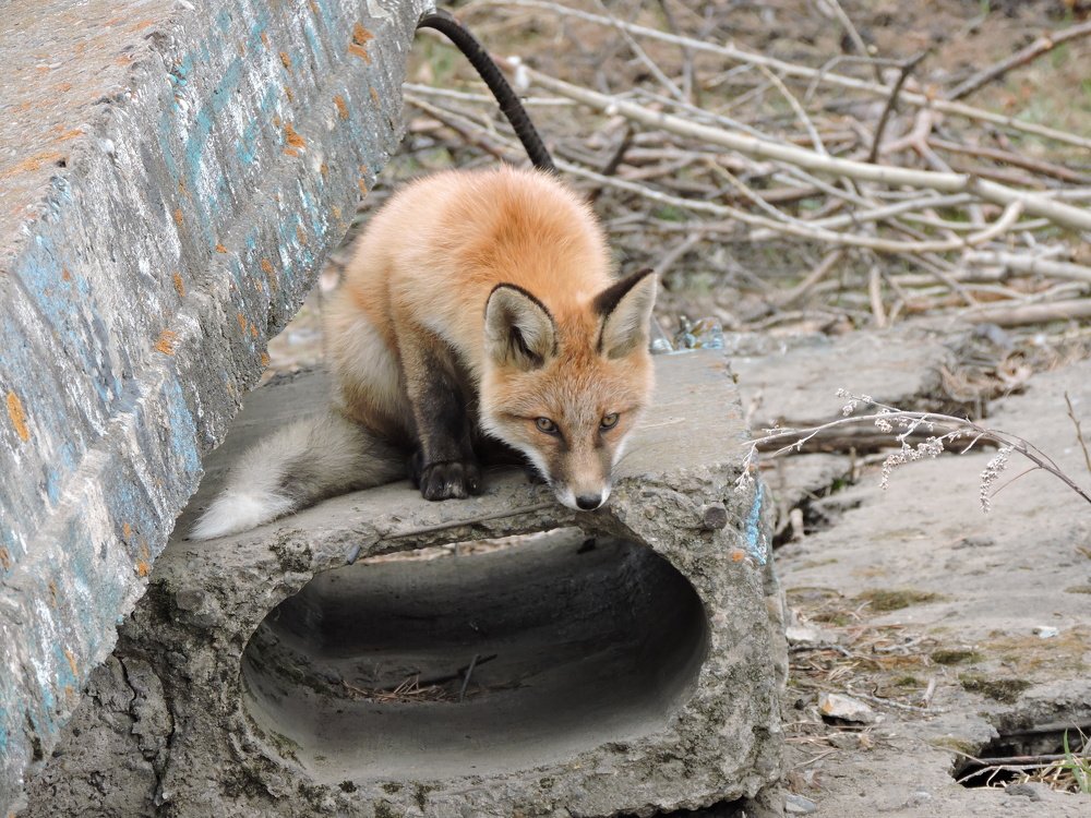 Photograph by Никита Яблоков