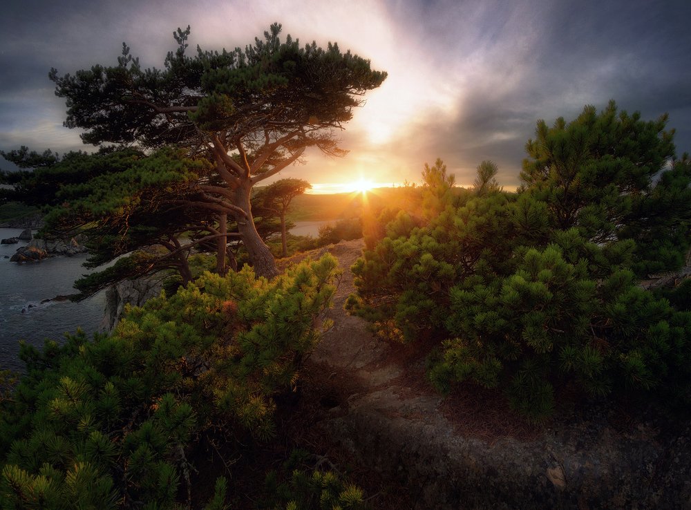 Photograph by Сорокин Алексей