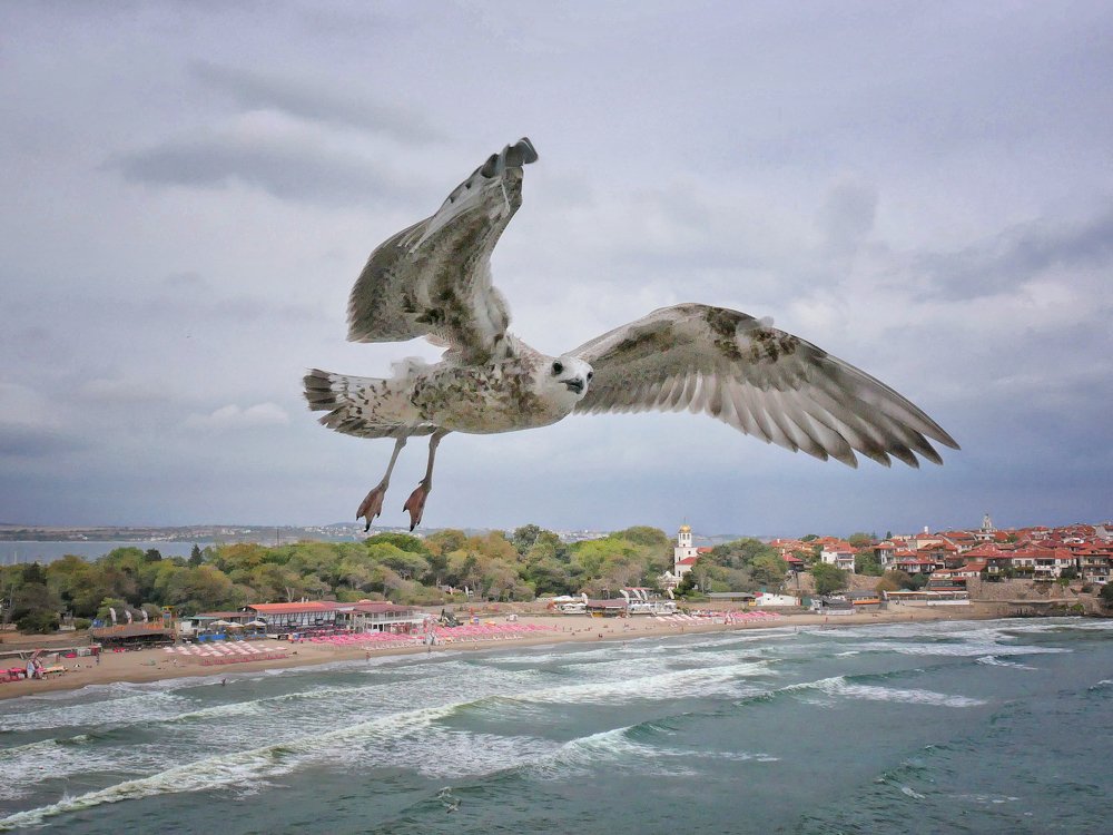 Flight over the sea