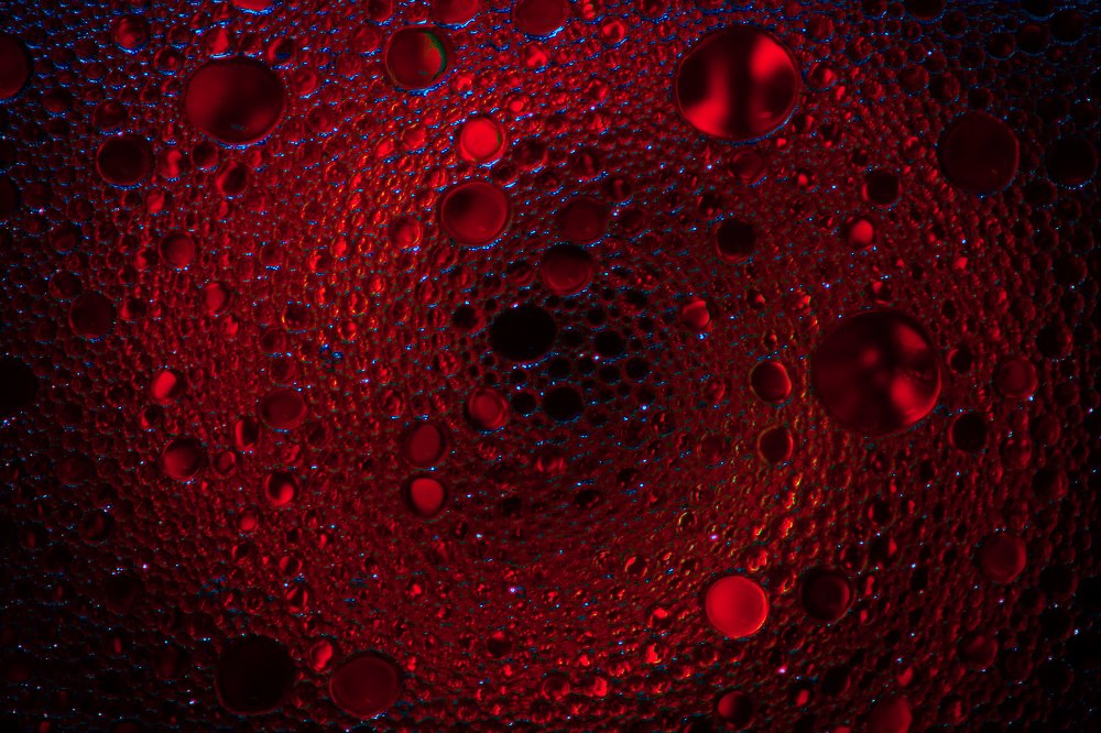 Photograph by Екатерина Авдеева