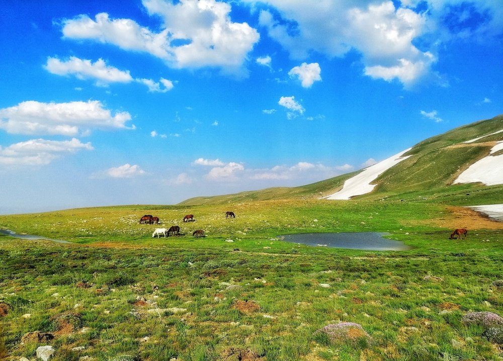 Photograph by Jalal Ahmadi