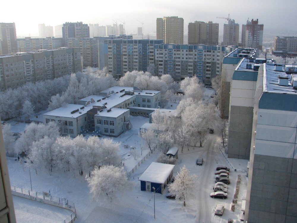 Photo #4302698