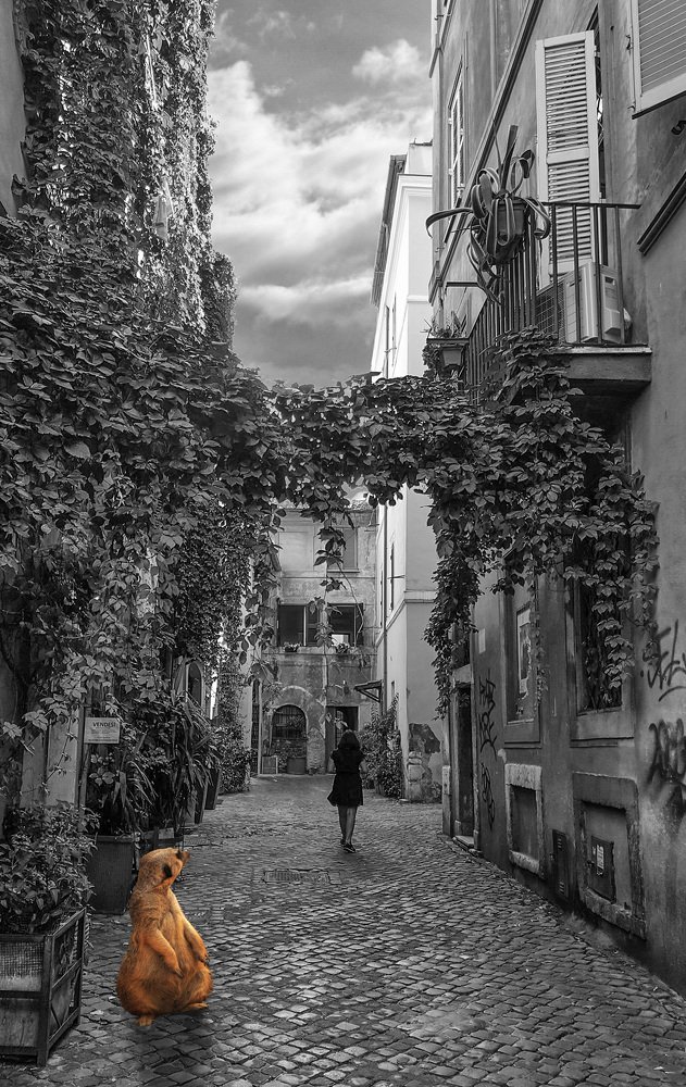 Photograph by Сергей Старостин