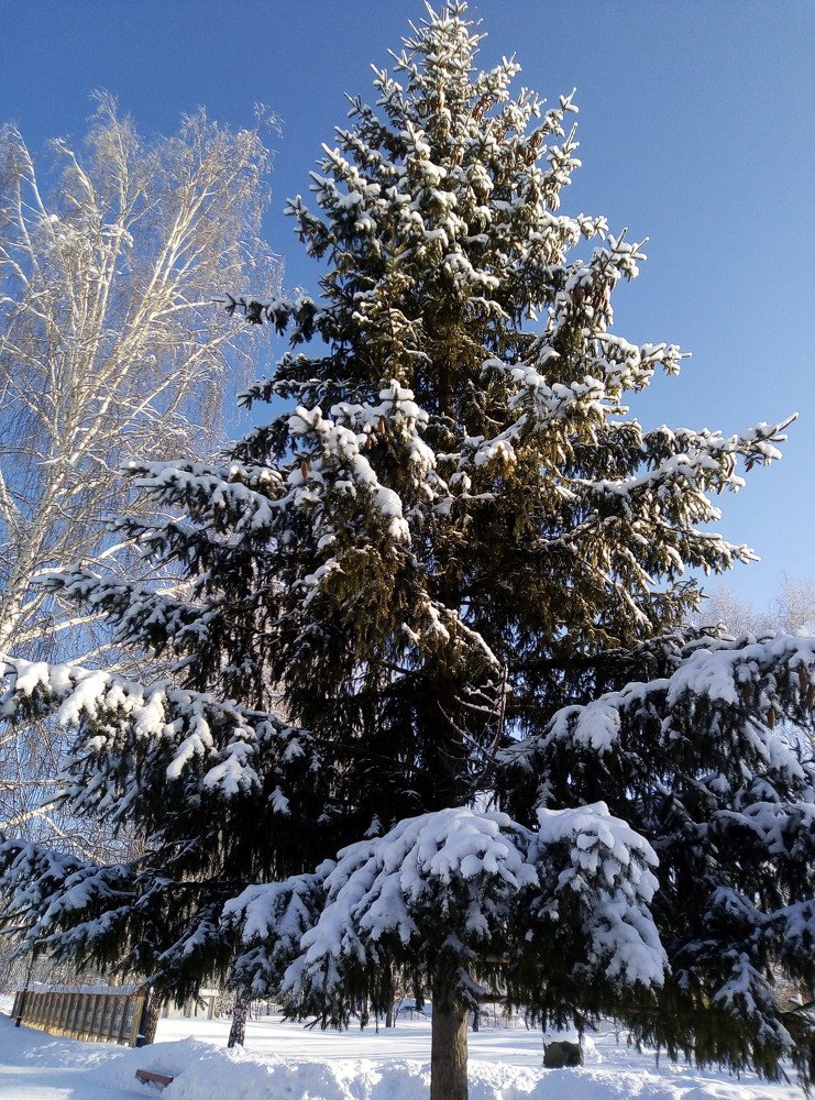 Photograph by Татьяна Малькова