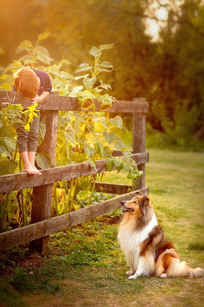 Photograph by Анжелика Кузьмина