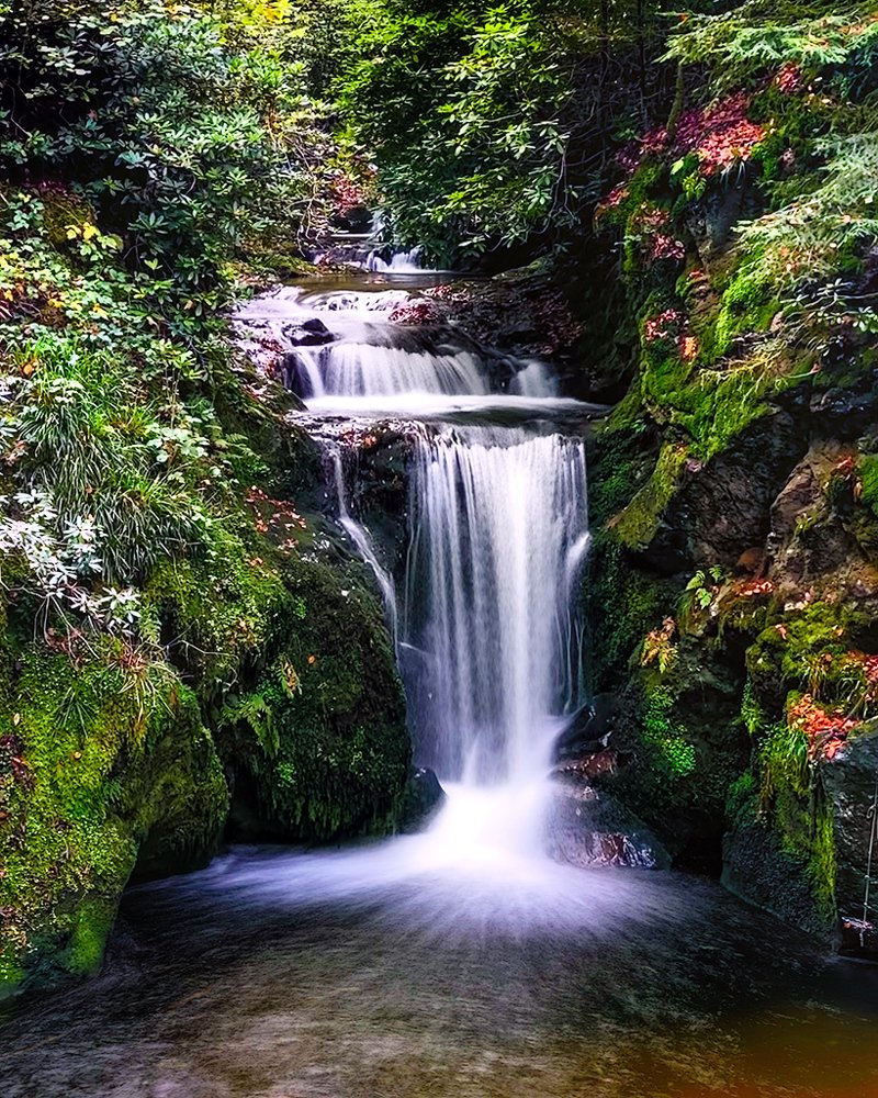 Photograph by Сергей Алимов