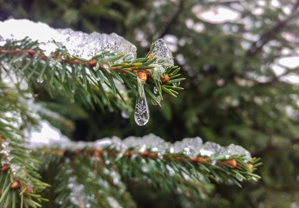 Photograph by Марат Вахитов