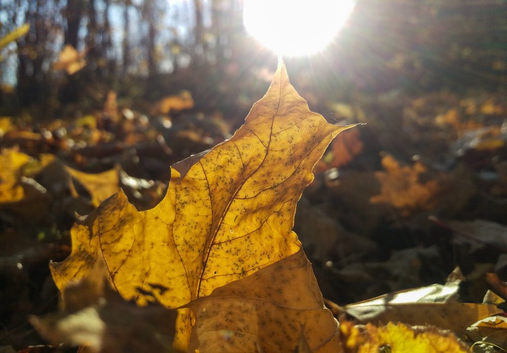 Photograph by Марат Вахитов