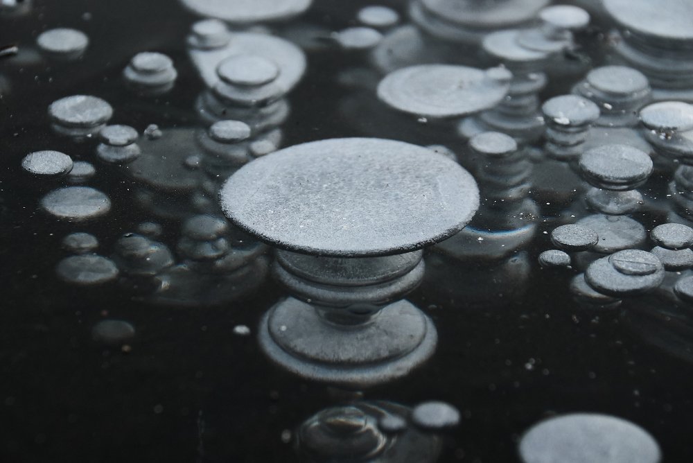 Греческая туманность в галактике Зеркального Глаза или вазон