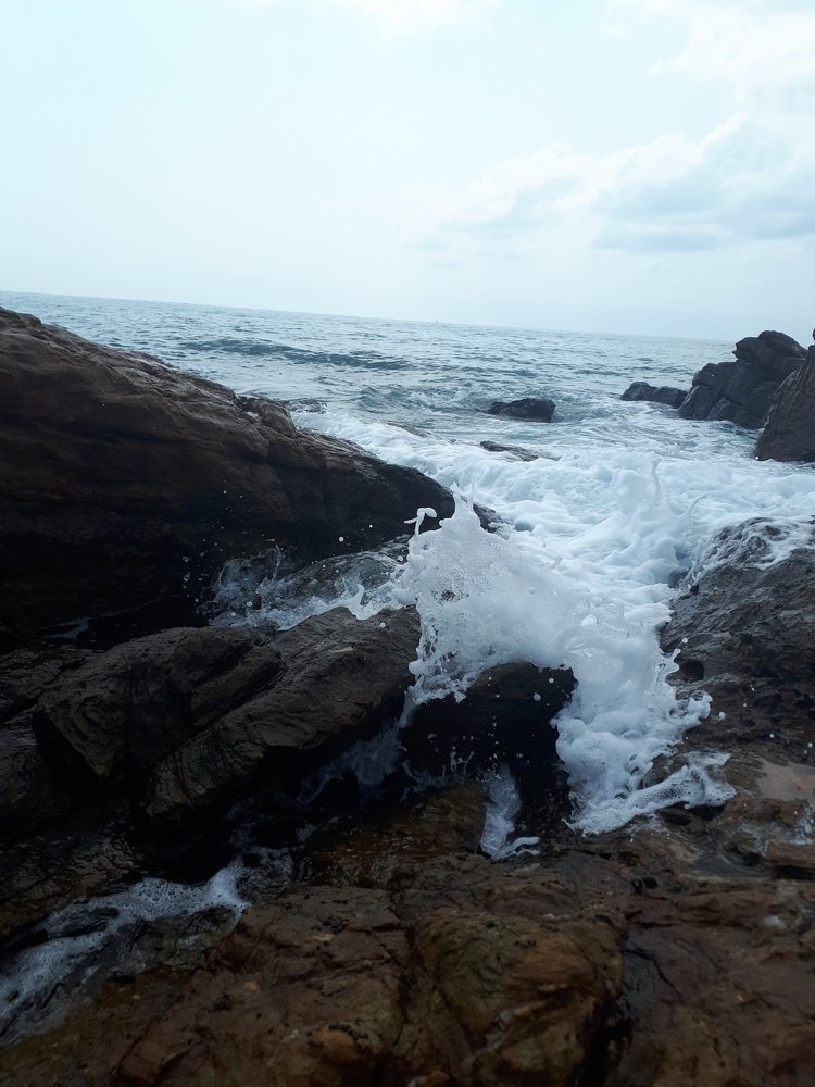 Photograph by Алиса Степанова