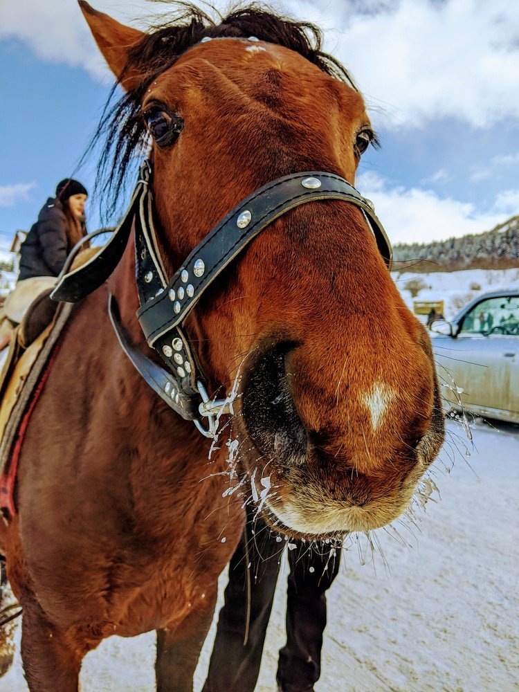 Photo #4302928