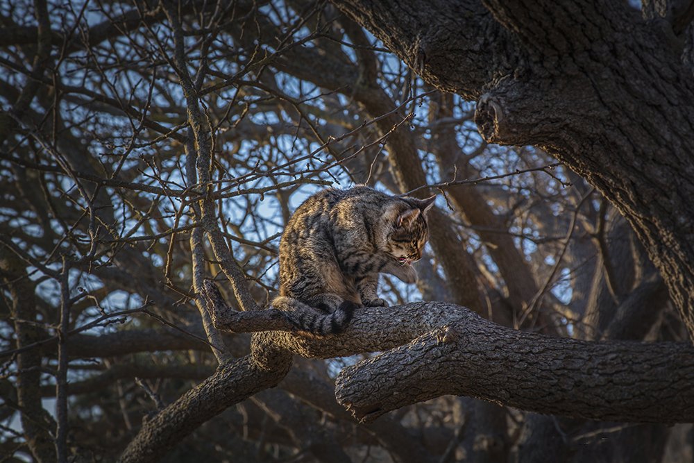 Photograph by Александр Пушкарев