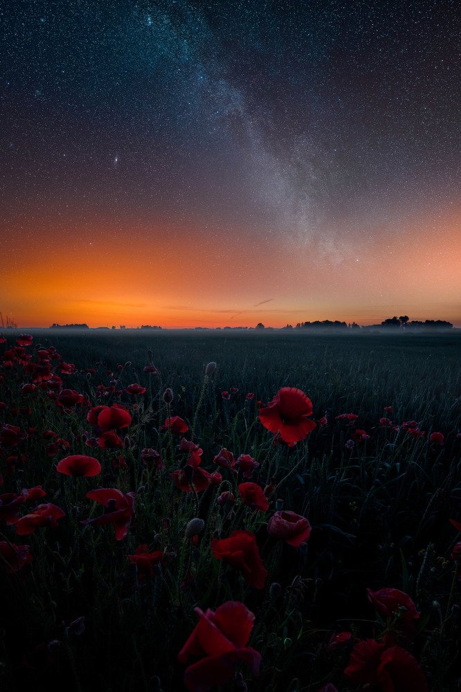 Photograph by Jānis Paļulis