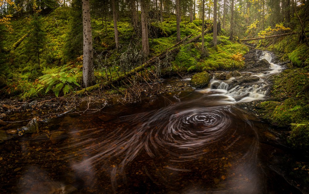 Photograph by Adrian Szatewicz