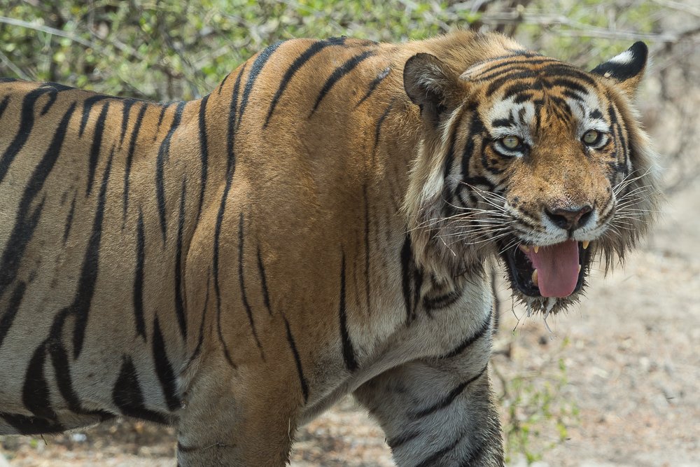 Photograph by Adithya P