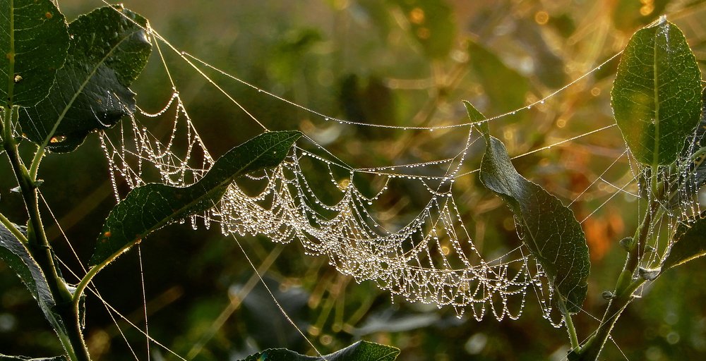 Photograph by Саша