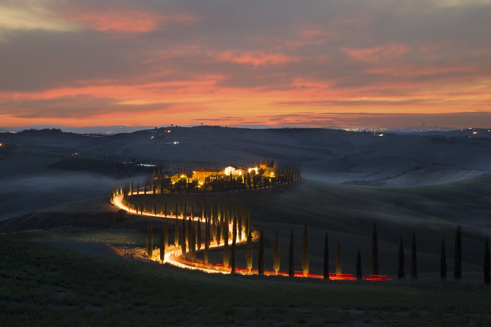 Photograph by Viktoria Bilka