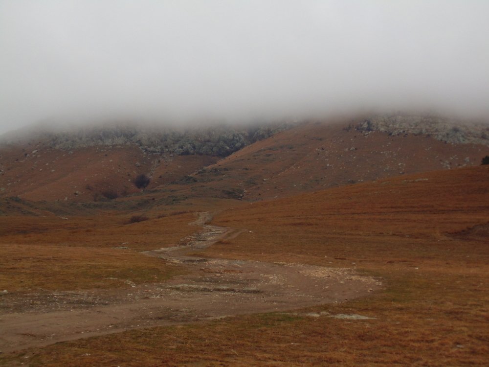 Photo #4303267