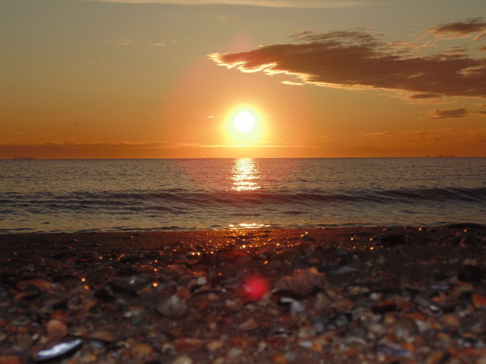 Photo #4303269
