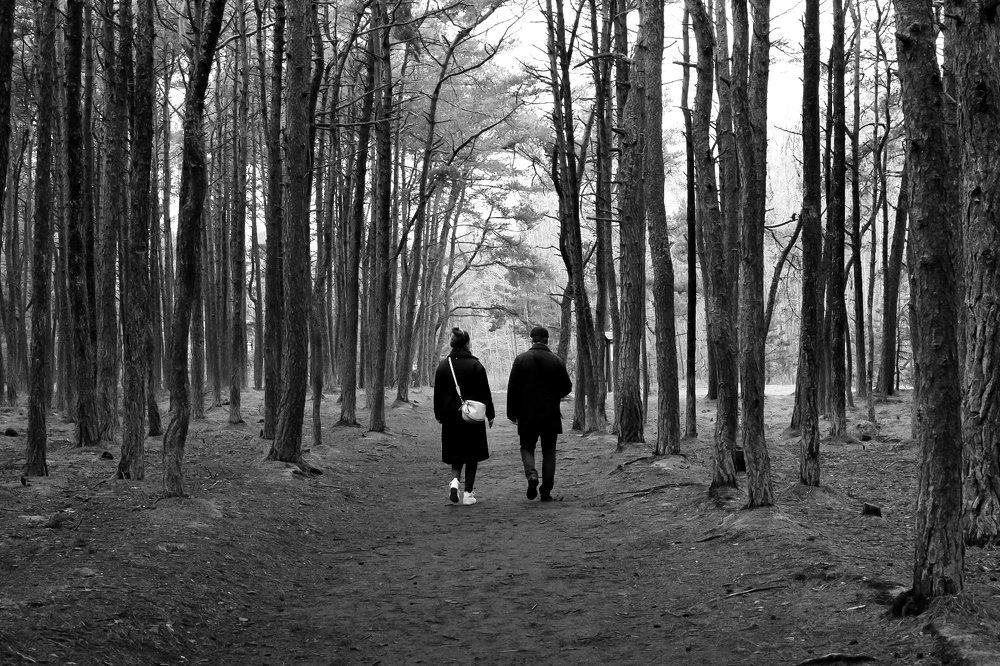 Photograph by Екатерина Орешина