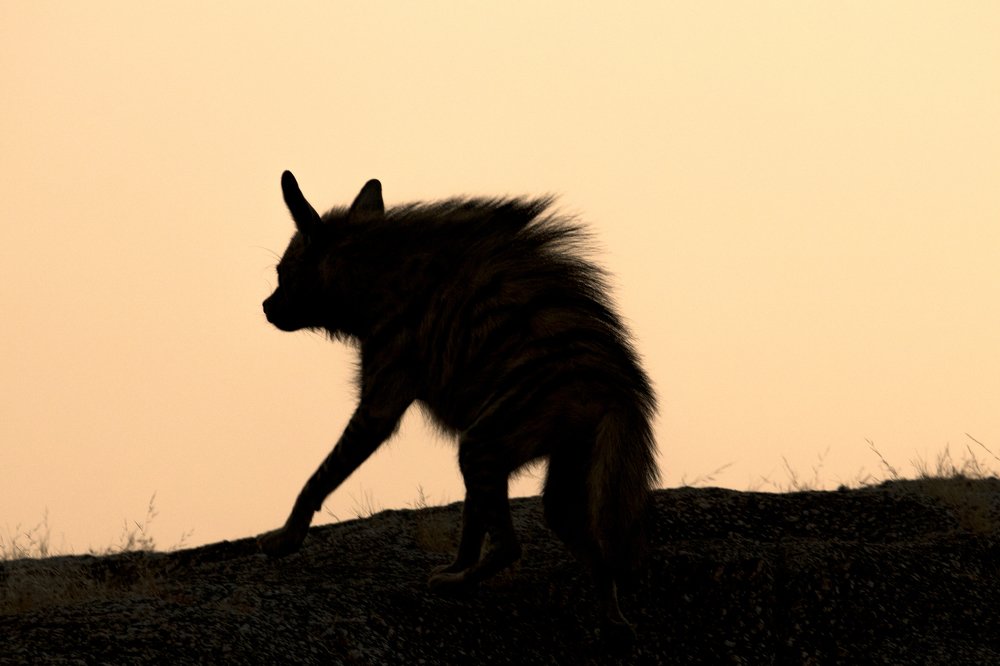 Photograph by Dheeraj mali