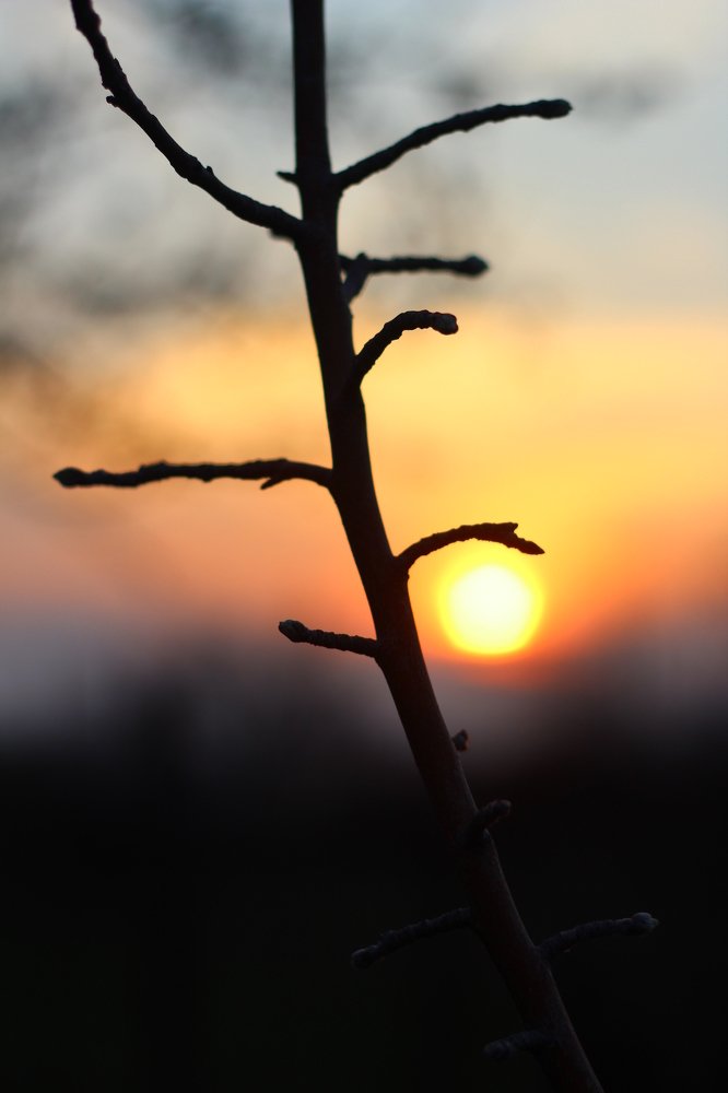 Photograph by Catherine Denisenko