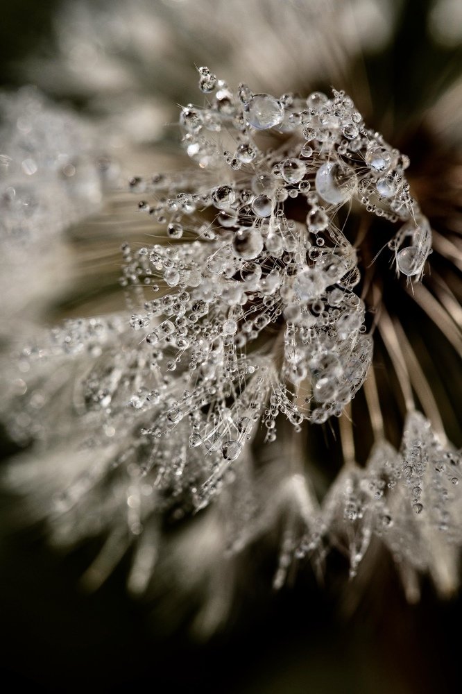 Хрустальные сферы