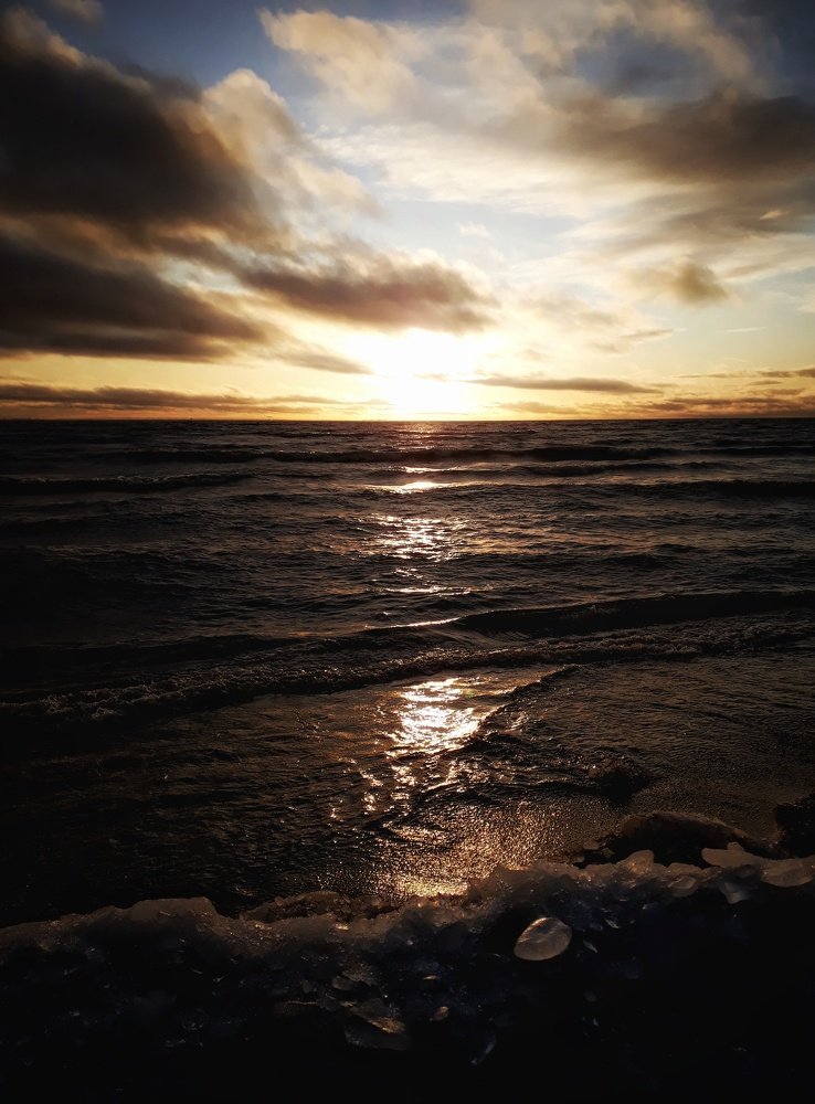 Photo #4303348