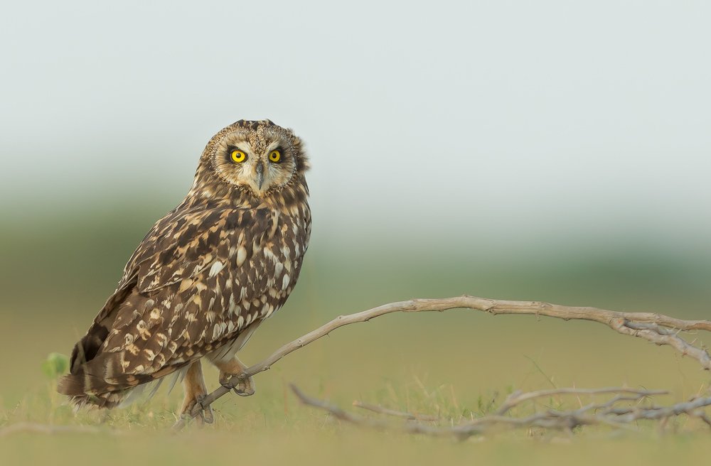 Photograph by Adithya P