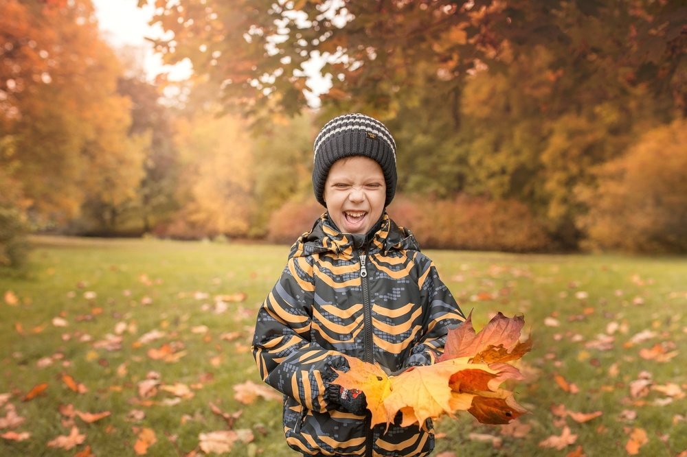 Солнечный день