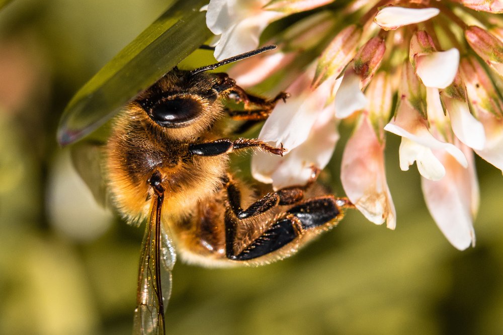 Фотография автора Мария Сурмачева