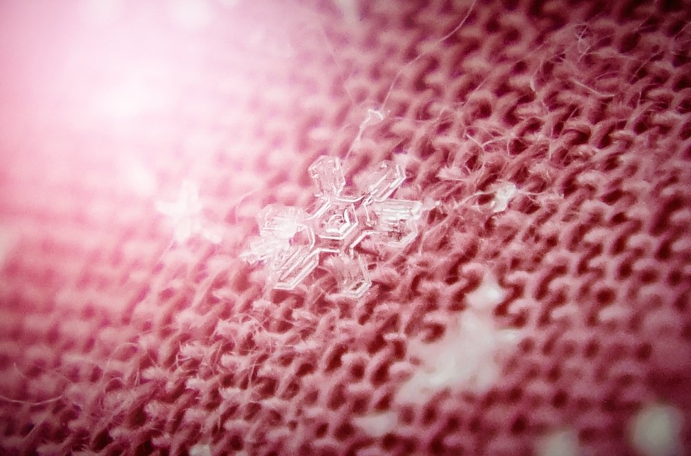 Photograph by Полина Скрыбыкина