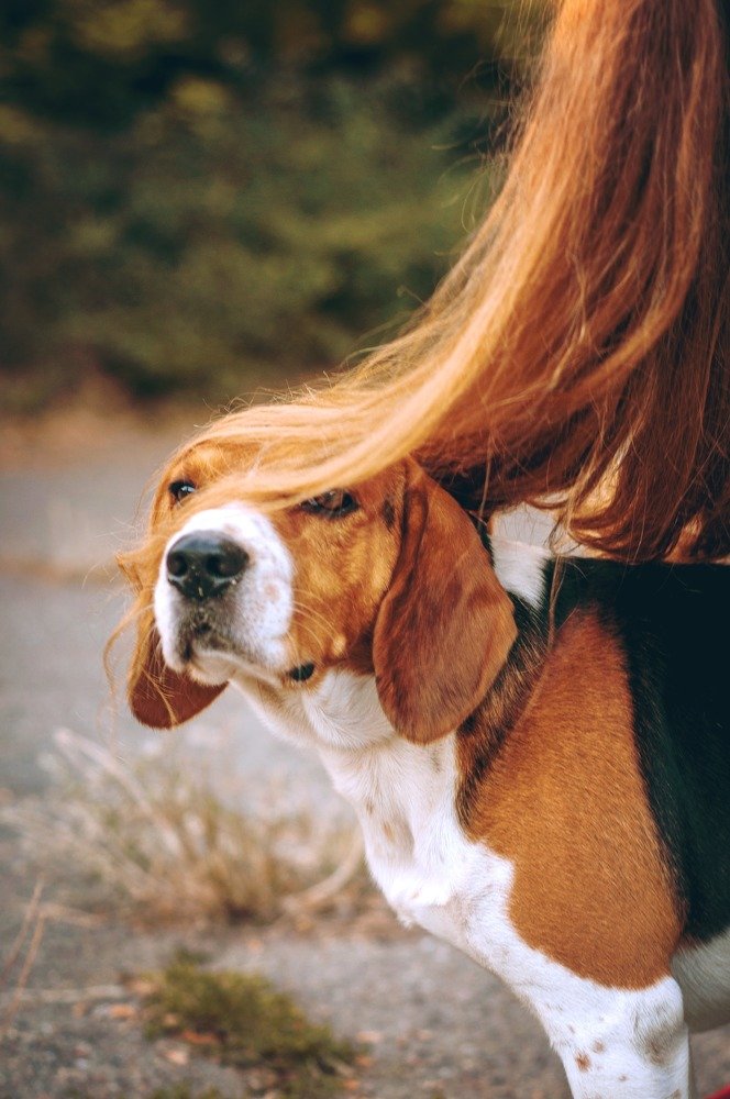 Photograph by Виола Поликарпова