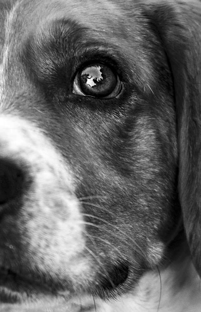 Photograph by Виола Поликарпова