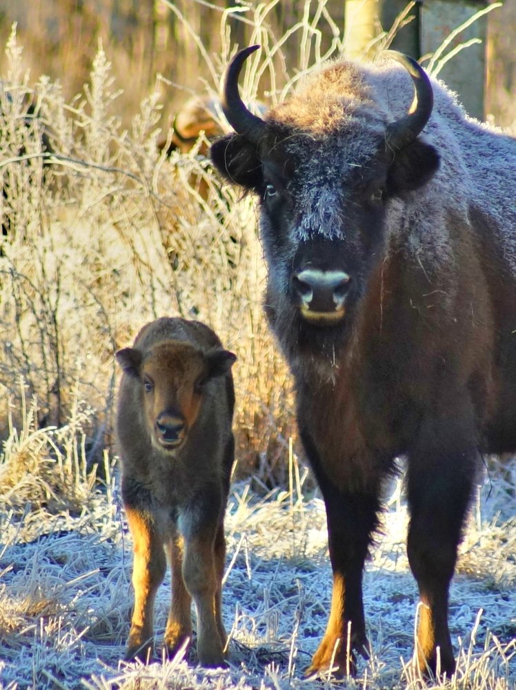 Photograph by Михаил