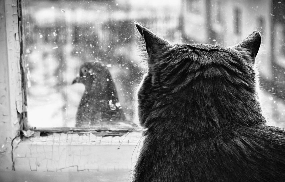 Недостижимая цель