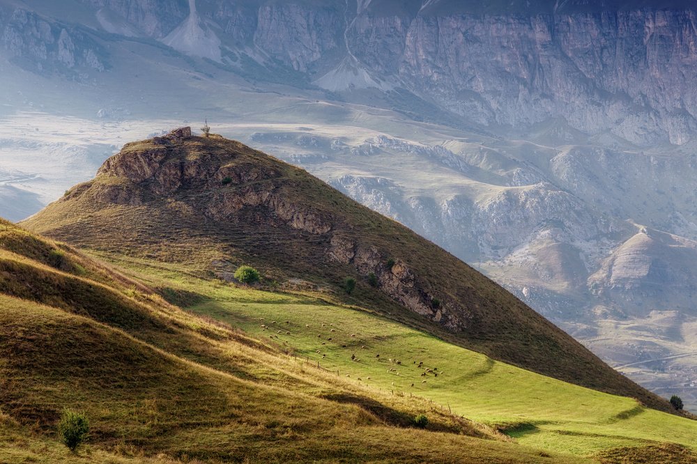 Земля обетованная