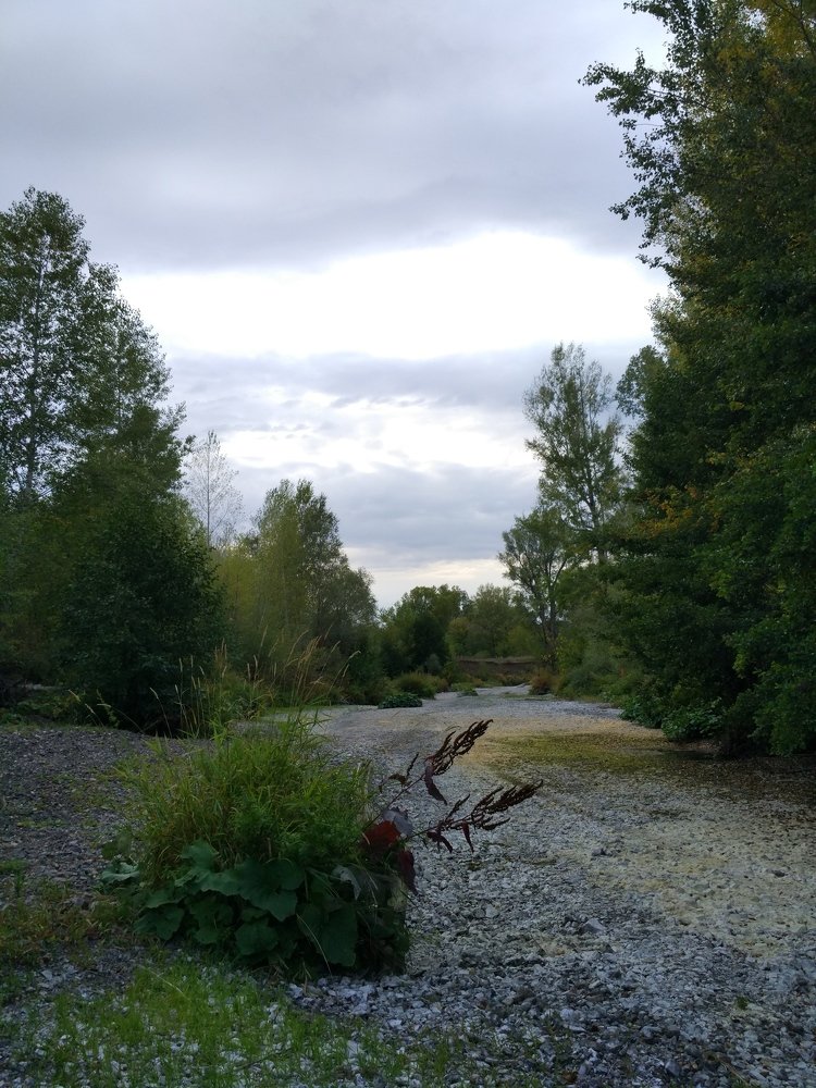 Русло реки.