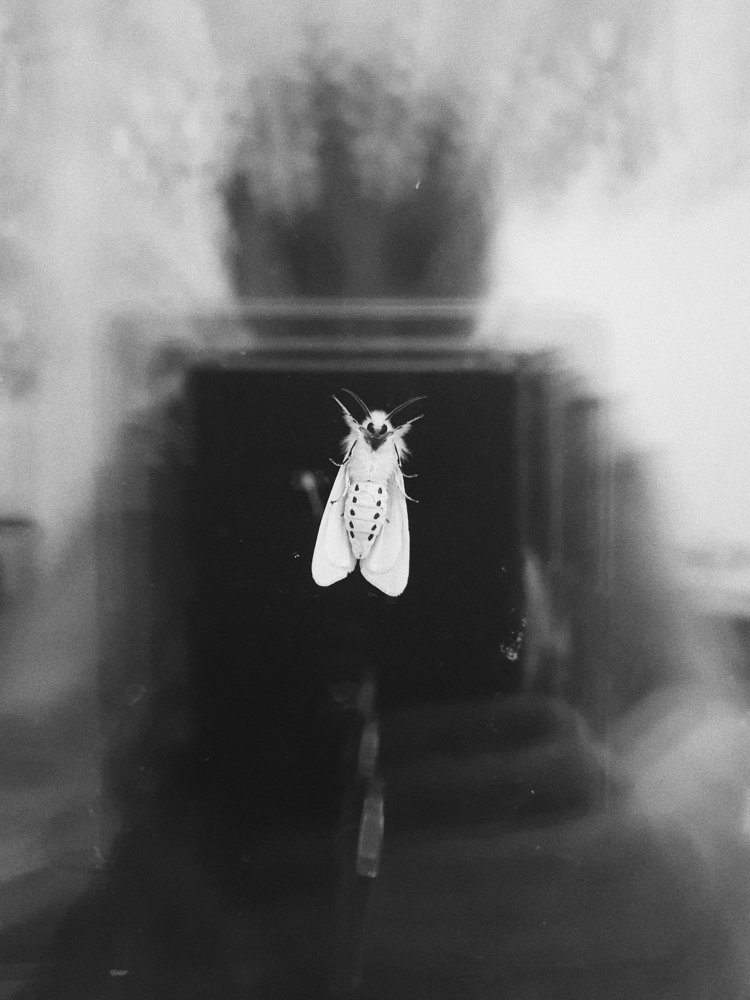 Photograph by Елизавета Душечкина