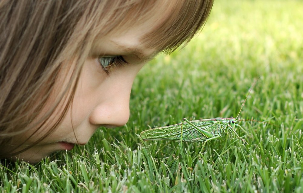 Photograph by Светлана Фладунг